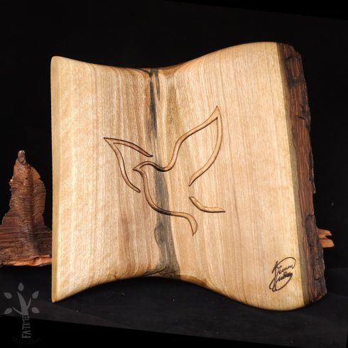 Szárnyalás  (0459-25-004-AB-45-16-03 )