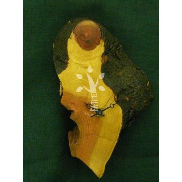 Lepényfa óra (04_405)