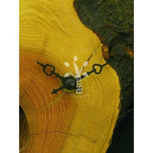 Lepényfa óra (04_405)