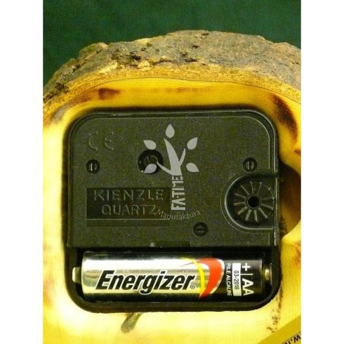 Lepényfa óra (04_405)