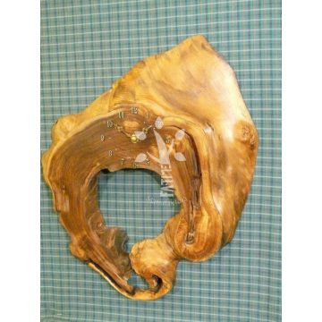 Japánakác falióra (04_505)