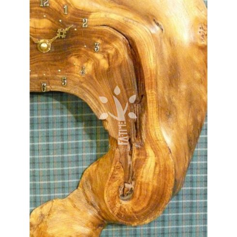 Japánakác falióra (04_505)