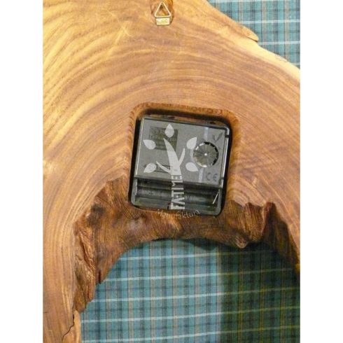 Japánakác falióra (04_505)