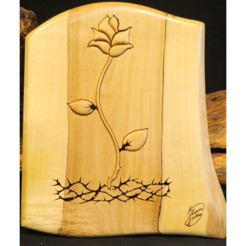 Remény (0556-19-001-DB-09-19-001)