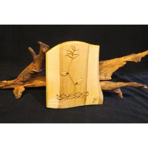 Remény (0556-19-001-DB-09-19-001)