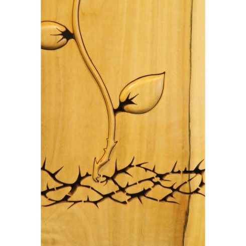 Remény (0556-19-001-DB-09-19-001)