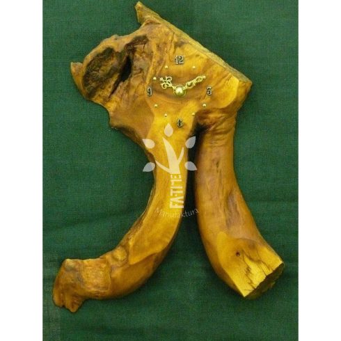  Japán akác falióra (06_531)