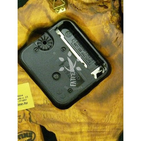  Japán akác falióra (06_531)