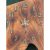 Falióra Akácfából (08_170)
