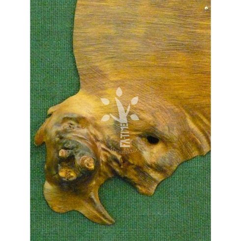 Falióra japán akácból  XVI. (08_241)