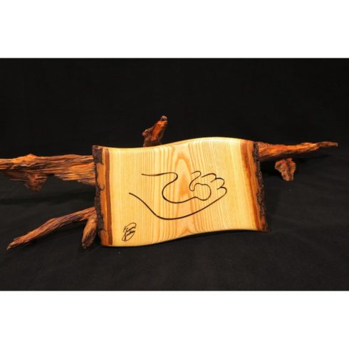 Tenyerembe írtalak (1203-19-002-AB-26-19-02 )