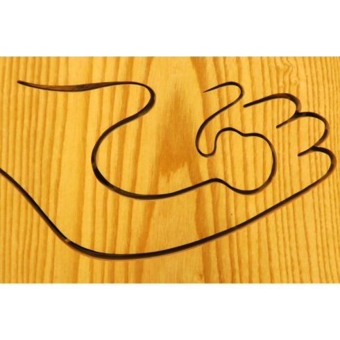 Tenyerembe írtalak (1203-19-002-AB-26-19-02 )