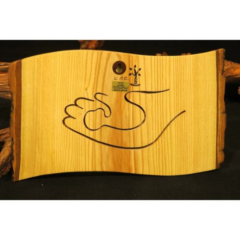 Tenyerembe írtalak (1203-19-002-AB-26-19-02 )