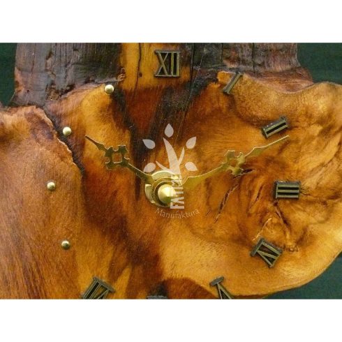 Falióra japán akácból XIII. (12_091)