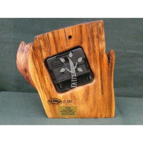 Falióra japán akácból XIII. (12_091)