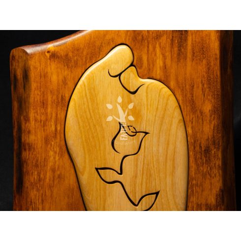 Gondviselés (1364-20-003-BB-12-20-03)