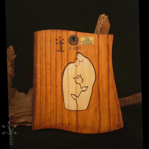 Gondviselés  (1364-25-002-CA-12-20-01)