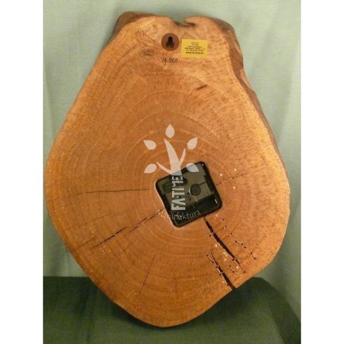 Falióra Diófából (13_060)