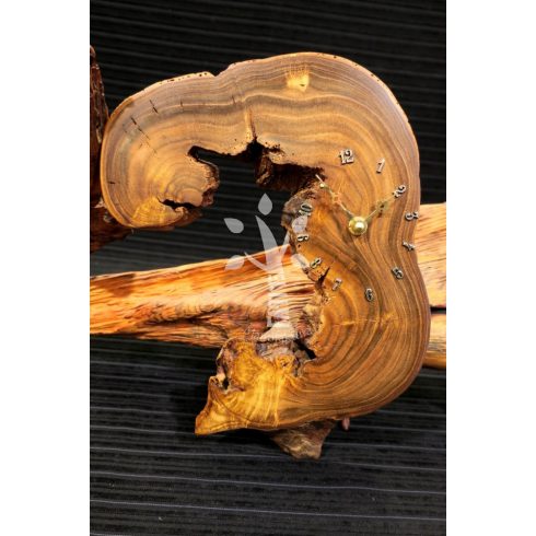 Japánakác falióra (16_122)