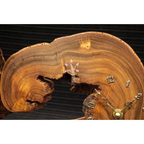 Japánakác falióra (16_122)