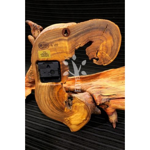 Japánakác falióra (16_122)