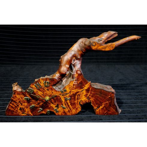 Pácolt juharfa óra (16_207)