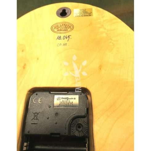 Ellipszis falióra (18_045)