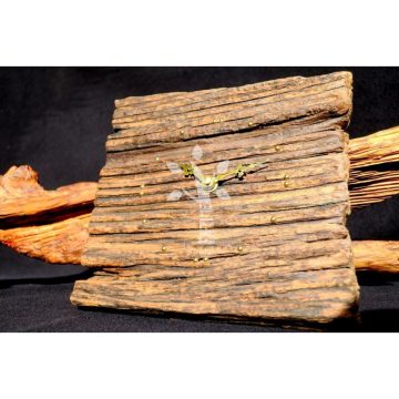 Rusztikus falióra öreg akácfából  (19_030)