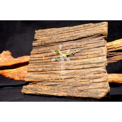 Rusztikus falióra öreg akácfából  (19_030)