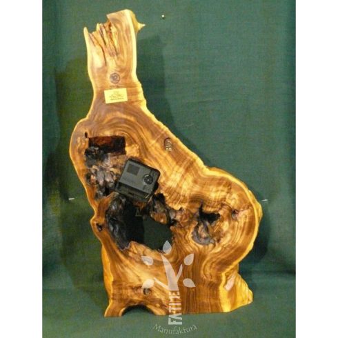 Falióra Japán akácból VIII. (3706)