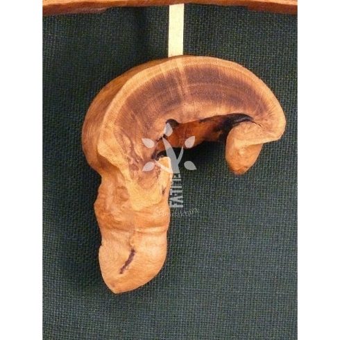 Ingaóra Japán akácból II. (A_05-613)