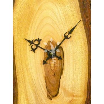 Ingaóra diófából (A_09-308)