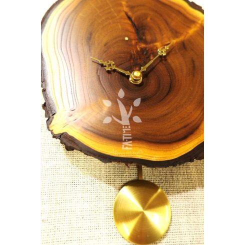 Puritan ingaora ezustfabol_A_19_130