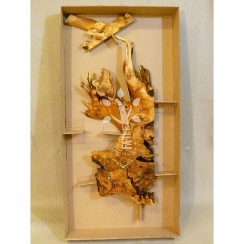 Ingaóra Japán akácból (A_3636)