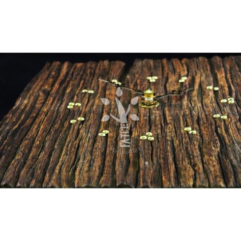 Rusztikus falióra öreg akácfából ( BA_19-050)