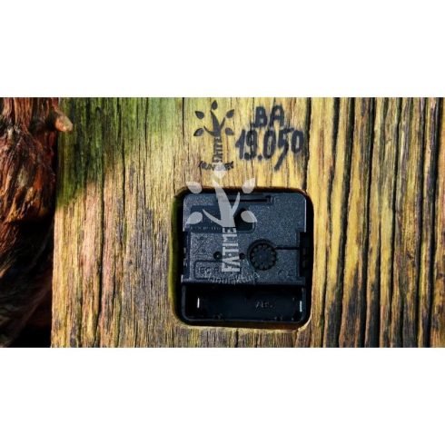 Rusztikus falióra öreg akácfából ( BA_19-050)