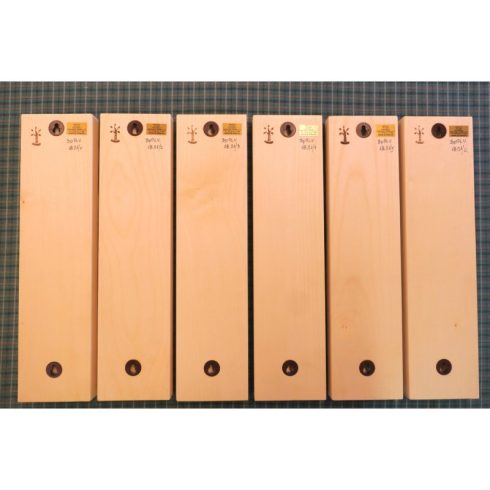 Parlament falikép villamossal