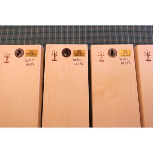 Parlament falikép villamossal