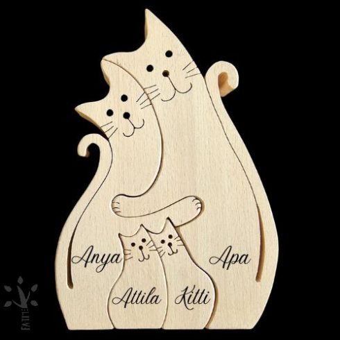 Cicacsalad ket kis cicaval  (CIC-2)