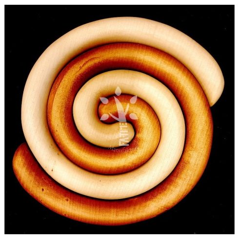 Little snail trivets