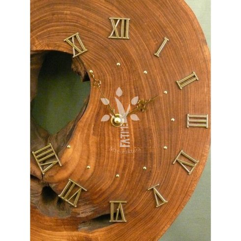 Japánakác falióra I.(D_13-70)