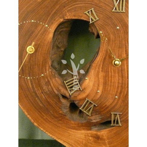 Japánakác falióra I.(D_13-70)