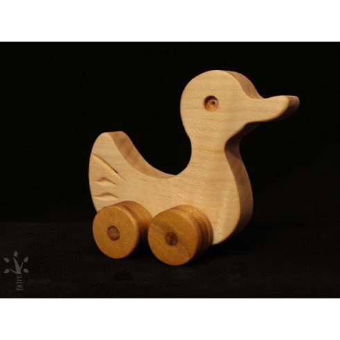 Gurolos állatkak Kacsa_FJGA_F7_KCS