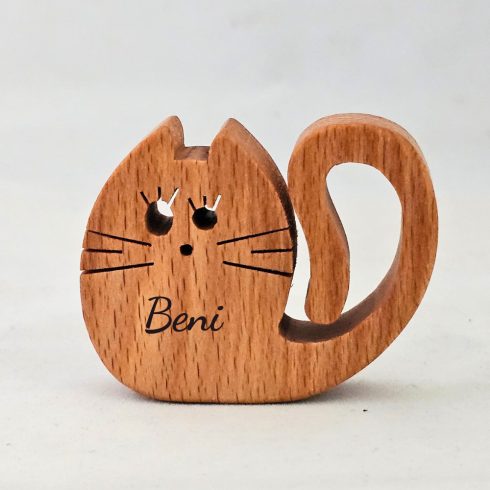 Cicamágnes (MM26-006)