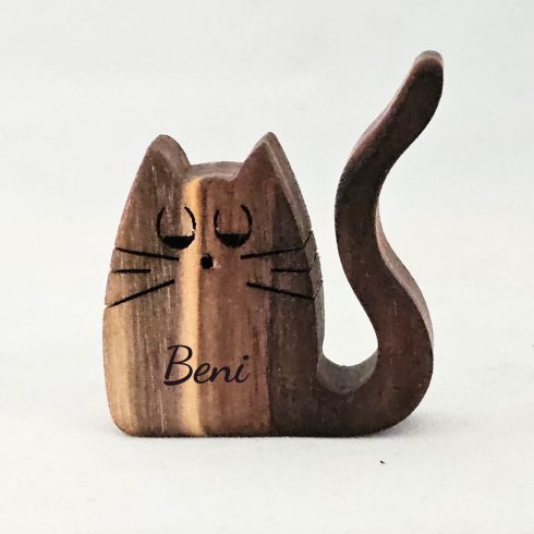 Cicamágnes (MM26-009)